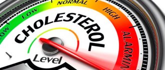 Повышенный индекс холестерина приводит к формированию атеросклеротических бляшек